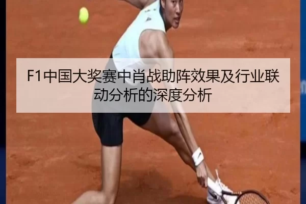 F1中国大奖赛中肖战助阵效果及行业联动分析的深度分析